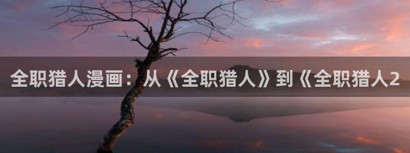 漫蛙漫画正版：全职猎人漫画：从《全职猎人》到《全职猎人2