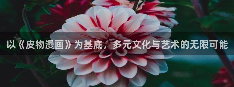 漫蛙免费vip破解版：以《皮物漫画》为基底，多元文化与艺术的无限可能