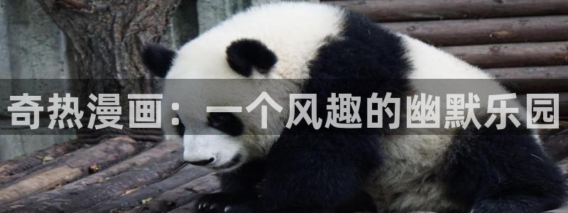 漫蛙官网下载ios：奇热漫画：一个风趣的幽默乐园