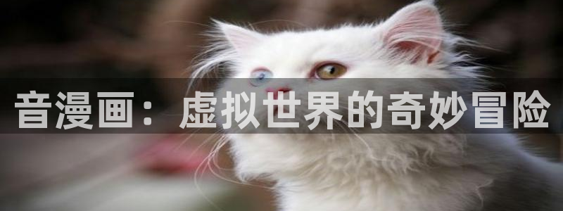 漫蛙韩漫版：音漫画：虚拟世界的奇妙冒险