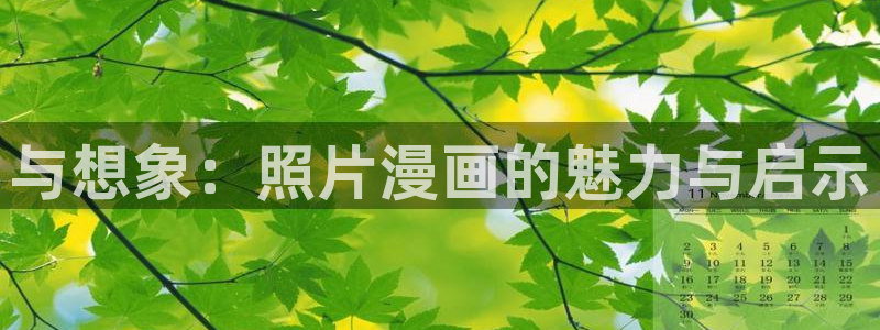 漫蛙2安全下载：与想象：照片漫画的魅力与启示