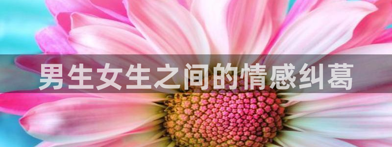 漫蛙是什么软件：男生女生之间的情感纠葛