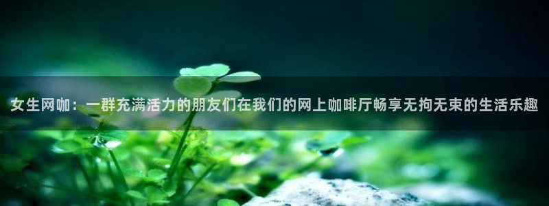 www.漫蛙2：女生网咖：一群充满活力的朋友们在我们的网上咖啡厅畅享无拘无束的生活乐趣