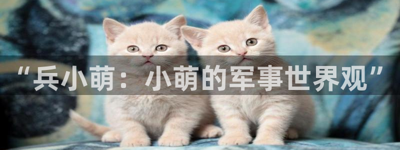 漫蛙漫画官网app：“兵小萌：小萌的军事世界观”