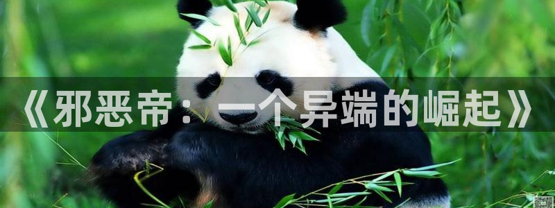 漫蛙网