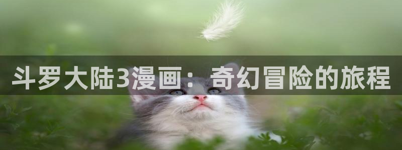 漫蛙manwa在线