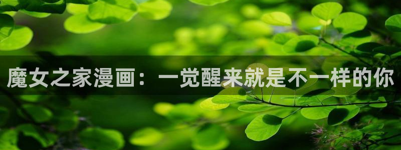 逗游漫蛙