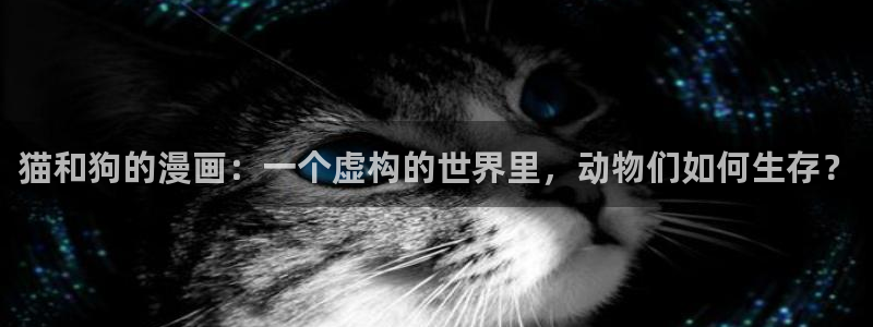 漫蛙2(台版)下载