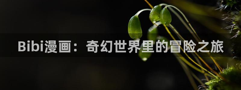 漫蛙2下载官网