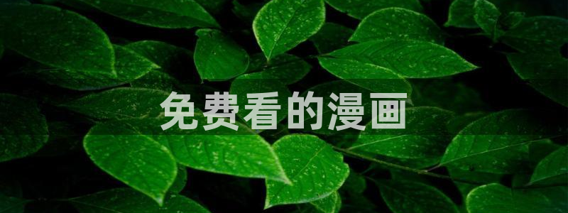 安卓下载漫蛙