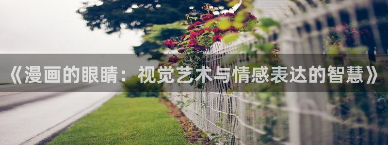 www.漫蛙漫画,top：《漫画的眼睛：视觉艺术与情感表达的智慧》