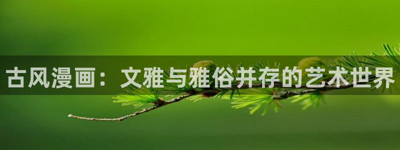 魔咒漫蛙：古风漫画：文雅与雅俗并存的艺术世界